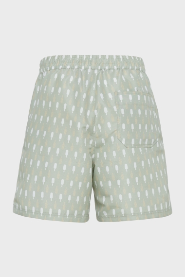 Product Image: ICE MAGIC MEN'S SWIMSUIT PISTACHIO