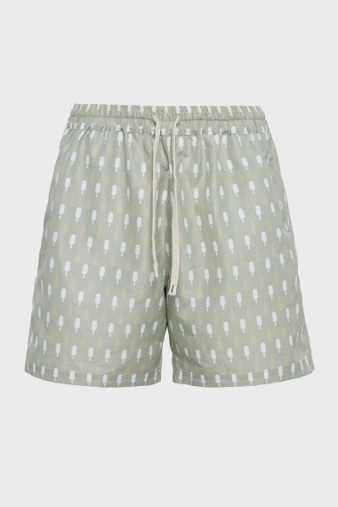 Product Image: ICE MAGIC MEN'S SWIMSUIT PISTACHIO